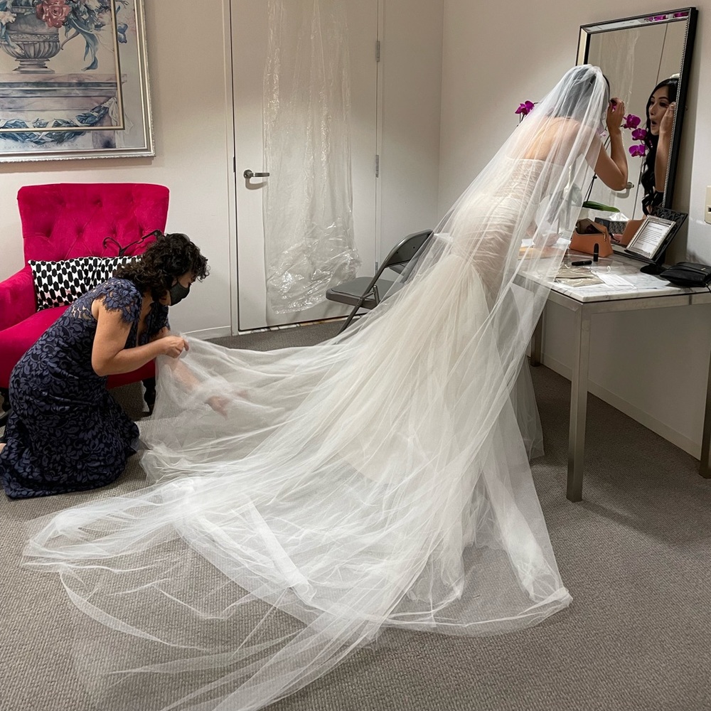 Ines Di Santo Wedding Gown